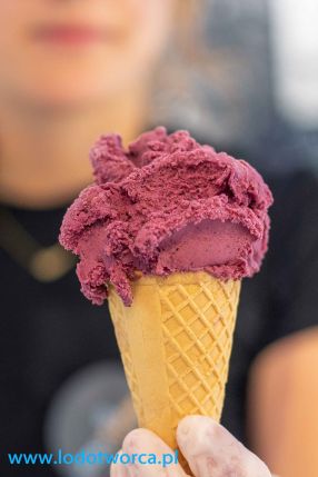 Zdrowe lody Rzeszów