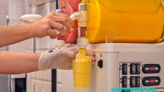 Lody Rzeszów najniezwyklejsza lodziarnia