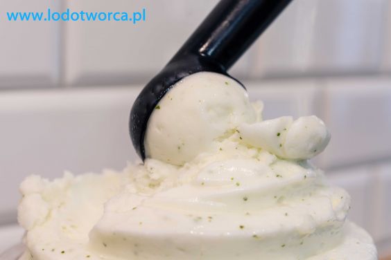 Lody Rzeszów najsmakowitsza lodziarnia