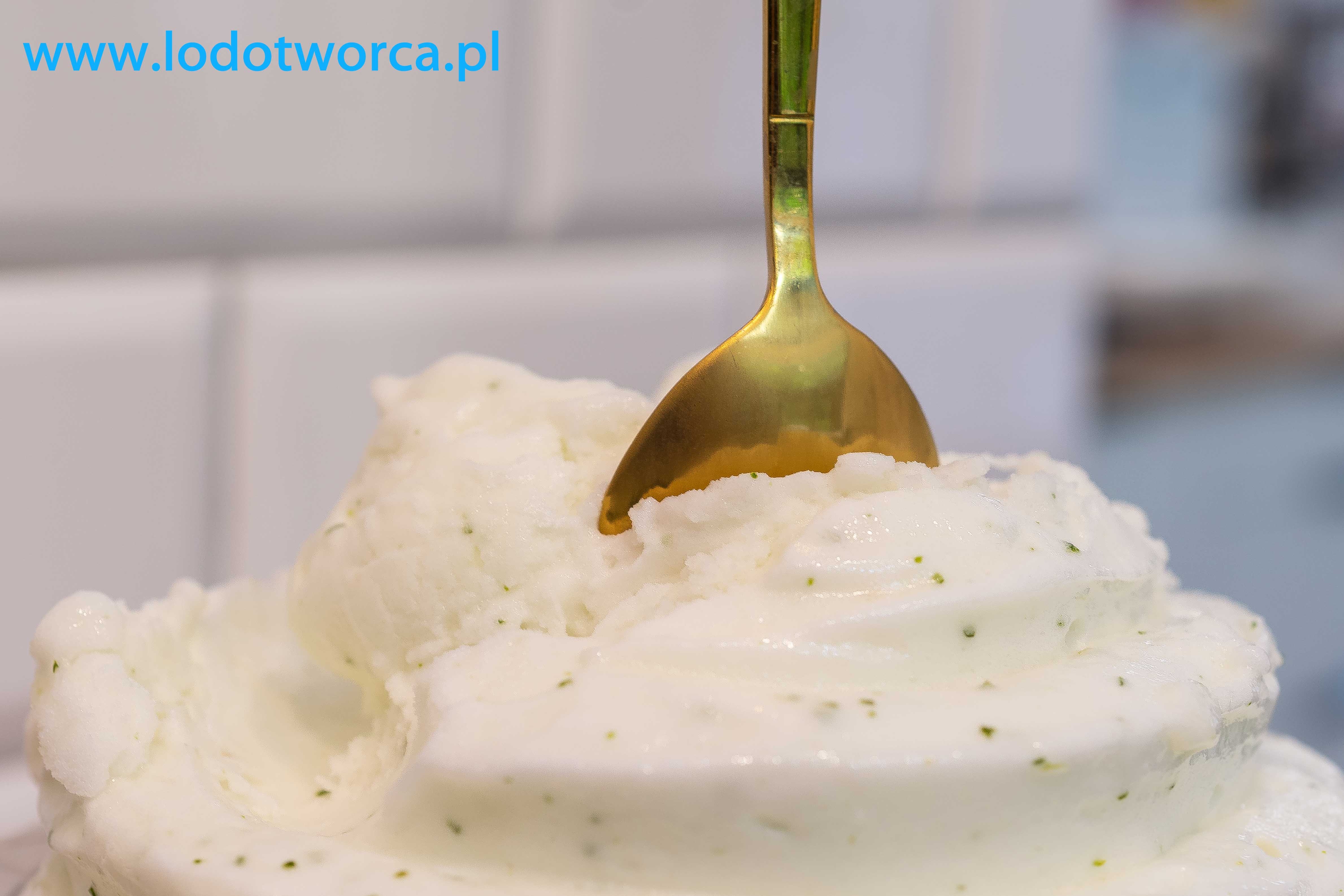Lody Rzeszów - mojito Lodotwórca lodziarnia jogurteria kawiarnia shake milkshake mrożonyjogurt lód włoski sorbet kawa cafe rurki z kremem deser lodowy bita śmietana soki frappe posypki polewy.jpg