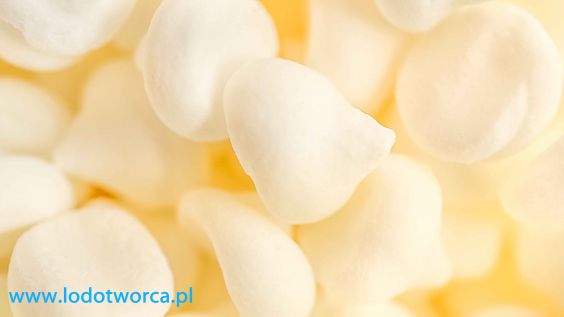 Najporządniejsze lody włoskie w Rzeszowie