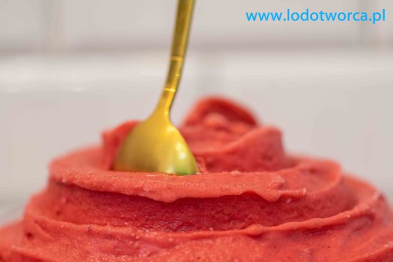 Lody Rzeszów najowocniejsza lodziarnia