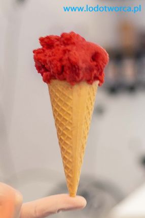 Lody Rzeszów najpiękniejsza lodziarnia